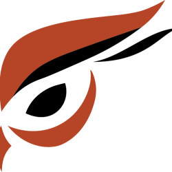 raptoreum logo